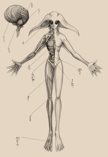 Файл:Skrell-pr 2.png